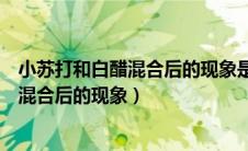 小苏打和白醋混合后的现象是产生大量什么（小苏打和白醋混合后的现象）