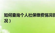 如何查询个人社保缴费情况微信（如何查询个人社保缴费情况）