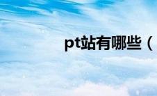 pt站有哪些（pt站是什么）