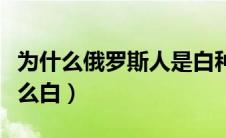 为什么俄罗斯人是白种人（俄罗斯人为什么那么白）