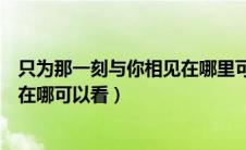 只为那一刻与你相见在哪里可以看完（只为那一刻与你相见在哪可以看）