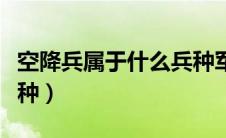 空降兵属于什么兵种军种（空降兵属于什么兵种）