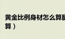 黄金比例身材怎么算腿长（黄金比例身材怎么算）