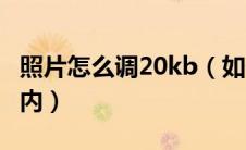 照片怎么调20kb（如何调整照片大小20kb以内）