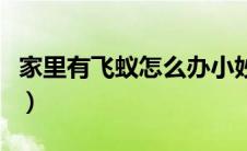 家里有飞蚁怎么办小妙招（家里有飞蚁怎么办）