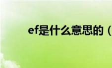 ef是什么意思的（eft是什么意思）