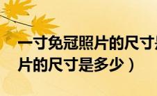 一寸免冠照片的尺寸是多少kb（一寸免冠照片的尺寸是多少）