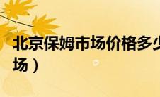 北京保姆市场价格多少钱一个月（北京保姆市场）