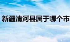 新疆清河县属于哪个市（清河县属于哪个市）