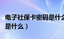 电子社保卡密码是什么密码（电子社保卡密码是什么）