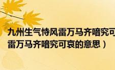 九州生气恃风雷万马齐喑究可哀的意思20字（九州生气恃风雷万马齐喑究可哀的意思）