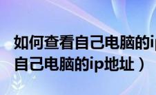 如何查看自己电脑的ip地址tcp ip（如何查看自己电脑的ip地址）