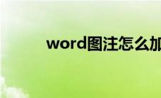 word图注怎么加（图注怎么加）