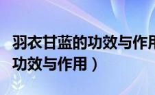 羽衣甘蓝的功效与作用百度百科（羽衣甘蓝的功效与作用）