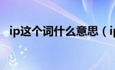 ip这个词什么意思（ip什么意思网络用语）