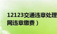 12123交通违章处理平台（12123交管网官网违章缴费）