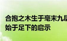 合抱之木生于毫末九层之台起于累土千里之行始于足下的启示