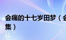 会痛的十七岁田梦（会痛的十七岁田梦是哪一集）