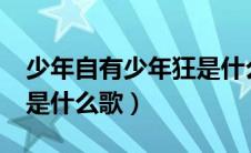 少年自有少年狂是什么歌?（少年自有少年狂是什么歌）