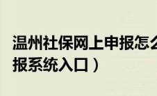 温州社保网上申报怎么操作（温州社保网上申报系统入口）