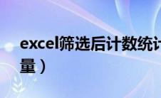 excel筛选后计数统计（excel筛选后统计数量）