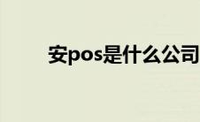 安pos是什么公司的（安pos官网）