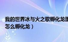 我的世界冰与火之歌孵化龙蛋要多久（我的世界冰与火之歌怎么孵化龙）