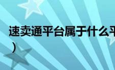 速卖通平台属于什么平台（速卖通是什么平台）