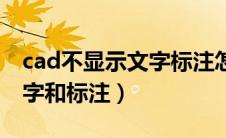 cad不显示文字标注怎么回事（cad不显示文字和标注）