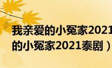 我亲爱的小冤家2021泰剧在线观看（我亲爱的小冤家2021泰剧）