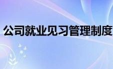 公司就业见习管理制度（就业见习管理制度）