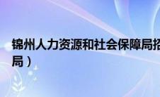 锦州人力资源和社会保障局招工（锦州人力资源和社会保障局）