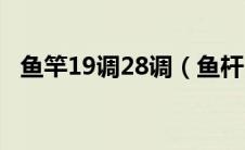 鱼竿19调28调（鱼杆19调28是什么意思）