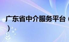 广东省中介服务平台（广东省中介超市官方网）