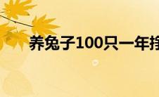 养兔子100只一年挣多少钱（养兔子）