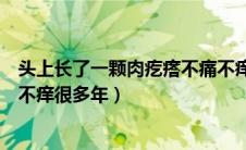 头上长了一颗肉疙瘩不痛不痒质软（头上长了个肉疙瘩不痛不痒很多年）