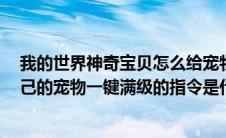 我的世界神奇宝贝怎么给宠物快速升级（MC神奇宝贝让自己的宠物一键满级的指令是什么）