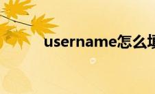 username怎么填（username）