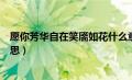 愿你芳华自在笑靥如花什么意思（芳华自在笑靥如花什么意思）