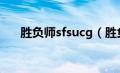 胜负师sfsucg（胜负师传说哲也简介）