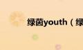 绿茵youth（绿茵集结号简介）