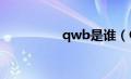 qwb是谁（QBoy简介）