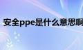 安全ppe是什么意思啊（ppe是什么意思啊）