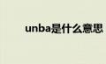 unba是什么意思（Unibody是啥）