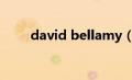 david bellamy（davebella简介）