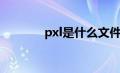 pxl是什么文件（pxl是什么）