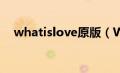 whatislove原版（WHATISLOVE简介）