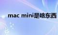 mac mini是啥东西（macmini是什么）