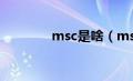 msc是啥（mscd什么意思）