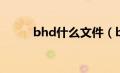 bhd什么文件（bhd是什么格式）